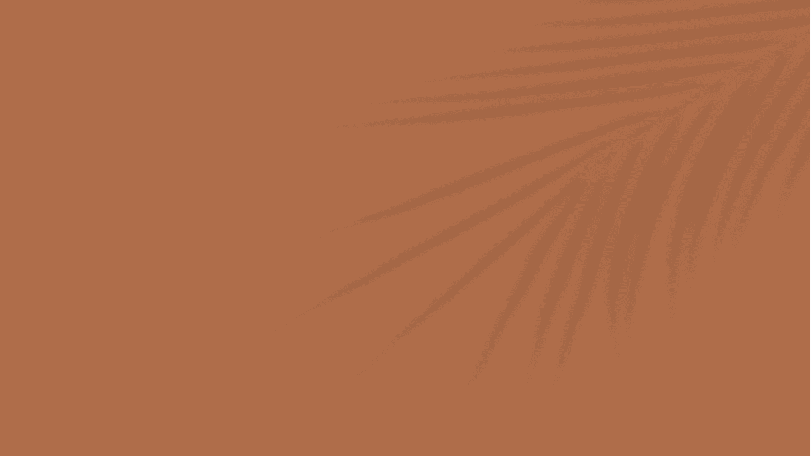 TERROU-BI- decoration